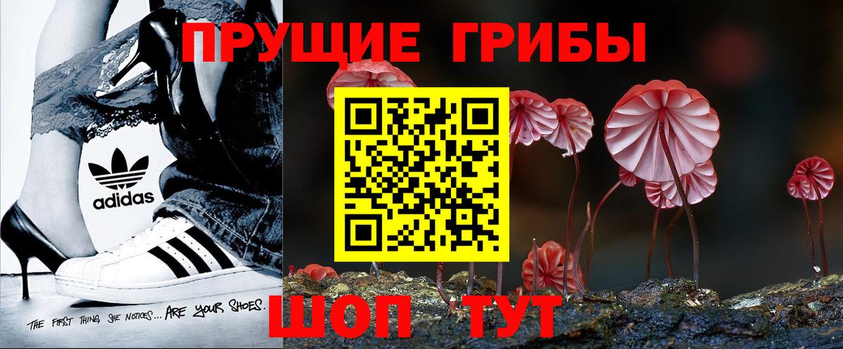 где продают наркотики  Псилоцибиновые грибы мицелий  Вход с VPN  Кстово 